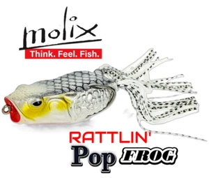 Molix Rattlin' Pop Frog - Cugino della Rana Supernato (#180 ALBINO ARGENTO) - Foto 1 di 9