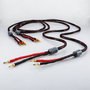 HiFi Speaker Bi-Wire 12 AWG OCC HiFi Loudspeaker Wire Cable