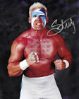 Réimpression photo dédicacée signée Sting Wrestling Legend 8x10