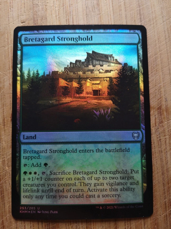 Bretagard Stronghold - Foil - Kaldheim - NM - EN - 253 - Image 1 of 1