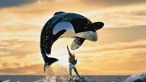 Free Willy is a 1993 American family drama film, directed by Simon Wincer, produ