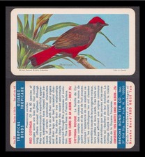 Tropical Birds  (Brooke Bond USA 1964) #32 Red Cotinga