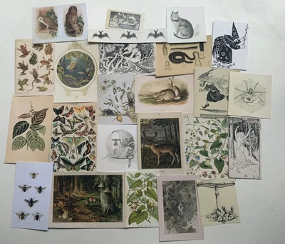 24 Piece Green Witch & Grimoire Theme Vintage Paper Pack, Scrapbooking Ephemera - image 1 of 4