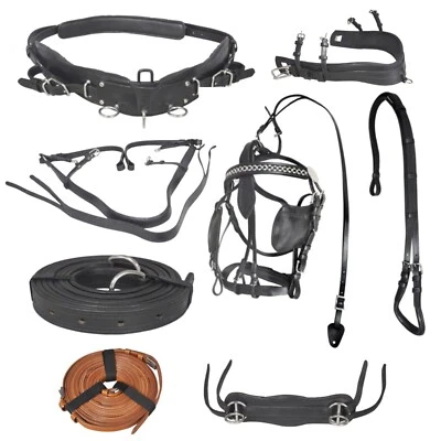 Diplomat Full-Size Black Horse Driving Harness Set - Premium Cow Softy Leather - Image 1 of 4