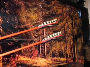 Clovisarrows, LLC Custom wooden arrows - Picture 1 of 1