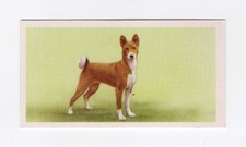 Priory Tea Dog Card 1957. Basenji