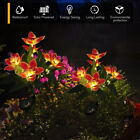 Garden Landscape Light 600MAH LED Yard Lamp for Porch Yard (Orange Red 2PCS )