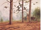 David Maass Morning Exercise - Mourning Doves Artist's Proof On Paper