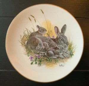 1980 Mother’s Day Limited Edition Bunny Cottontails 🐰 Porcelain Plate By Gorham - Picture 1 of 2