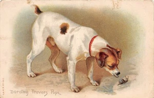 POSTCARD DOGS - DOG AND SNAIL - DOROTHY TRAVERS POPE - Picture 1 of 2
