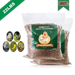 New Listing22Lbs Dried Mealworms High Protein Organic Bulk Food for Pet Reptile Chickens Us