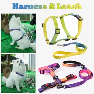 No Pull Dog Harness & Leash Set – Adjustable Reflective Multi-Style Size - Picture 1 of 11