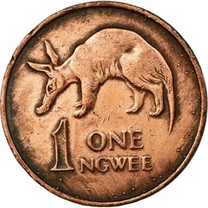 Zambia | 1 Ngwee Coin | Aardvark | Km:9A | 1982 - 1983 - Picture 1 of 8