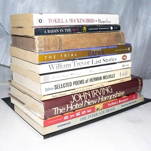 LOT OF 12 BOOKS ~ WOOLF / KAFKA / AUSTEN / IRVING / THOMAS / LEE / BURGESS good - Picture 1 of 24
