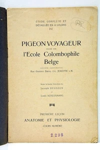 Reisetaube Anatomie und Physiologie Belgische Taubenschule Lüttich um 1900 - Bild 1 von 8