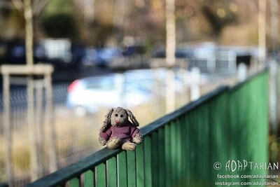 Zeiss Ikon TALON 85/2.8 converted to Nikon F with infinity focus | SAMPLES - Image 1 of 4