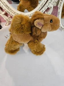 Camel von PMS in tadellosem Zustand - Bild 1 von 3