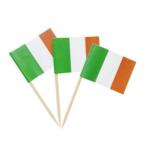 100PCS Ireland Toothpick Flag Irish Mini Small Cupcake Topper Flags Cocktail ... - Picture 1 of 3