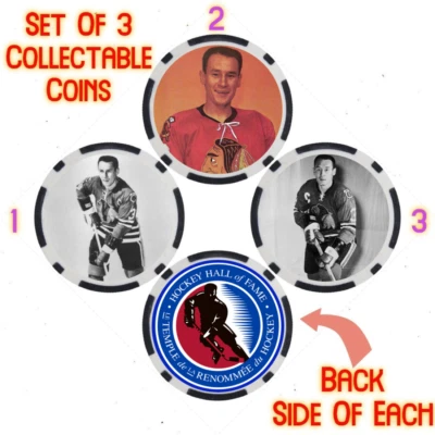 PIERRE PAUL PILOTE - HOCKEY HALL OF FAME - COLLECTABLE COIN SET - Image 1 of 2