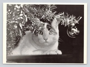 Foto del gato debajo del árbol de Navidad ""I Think I See Him Now"" de FPG - postal - Imagen 1 de 2