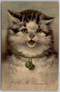 c1910 Calico Cat 2am Serenade Funny Embossed Postcard Unposted - Picture 1 of 2