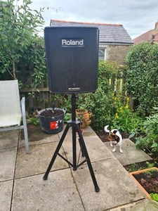 Roland BA 330 portable stereo amp, manual & stand; microphone, mic stand & leads - Picture 1 of 8