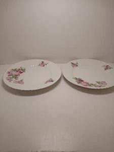 Two Excellent "Silver Rose" Dinner Plates 6-3/4-Bohemian China, Czechoslovakia - Picture 1 of 5