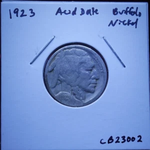 1923 P Büffelnickel - Bild 1 von 2