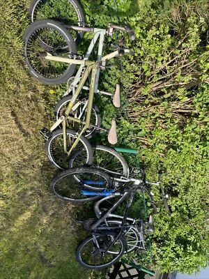 Fahrräder - Bild 1 von 3