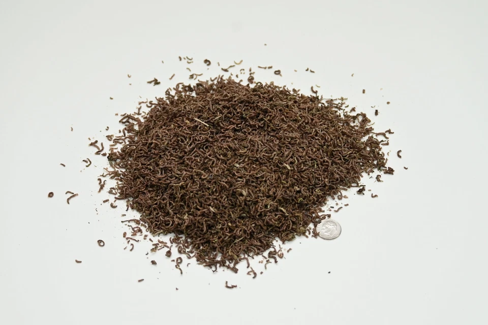 Ken's Freeze Dried Bloodworms - Image 1 of 1