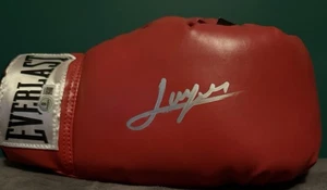 JAMIE MUNGUIA signierter Everlast Boxhandschuh mit Schnürung - Bild 1 von 3