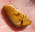 11Cts    -    Pretty - Unique Koroit Opal -  Natural Boulder   Aa9