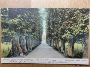 c1904 - Avenue - Trinity College - Cambridge - Picture 1 of 1