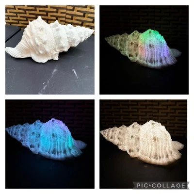 砂岩大海螺壳灯-变色暖白色-电池供电 — 第 1/4 张图片