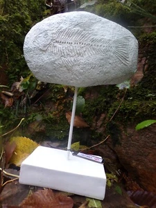 SCULPTURE PIERRE ARTIFICIELLE AVEC GRAVURE DE POISSON - ENV. 34 CM / + 1,4 KG - Imagen 1 de 12