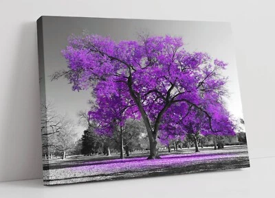 PURPLE TREE BLACK & WHITE BACKGROUND -FRAMED CANVAS WALL ART PICTURE PRINT - Image 1 of 2