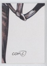 2012 Sportkings National Convention VIP Puzzle Card Man O'War (Bottom Center)