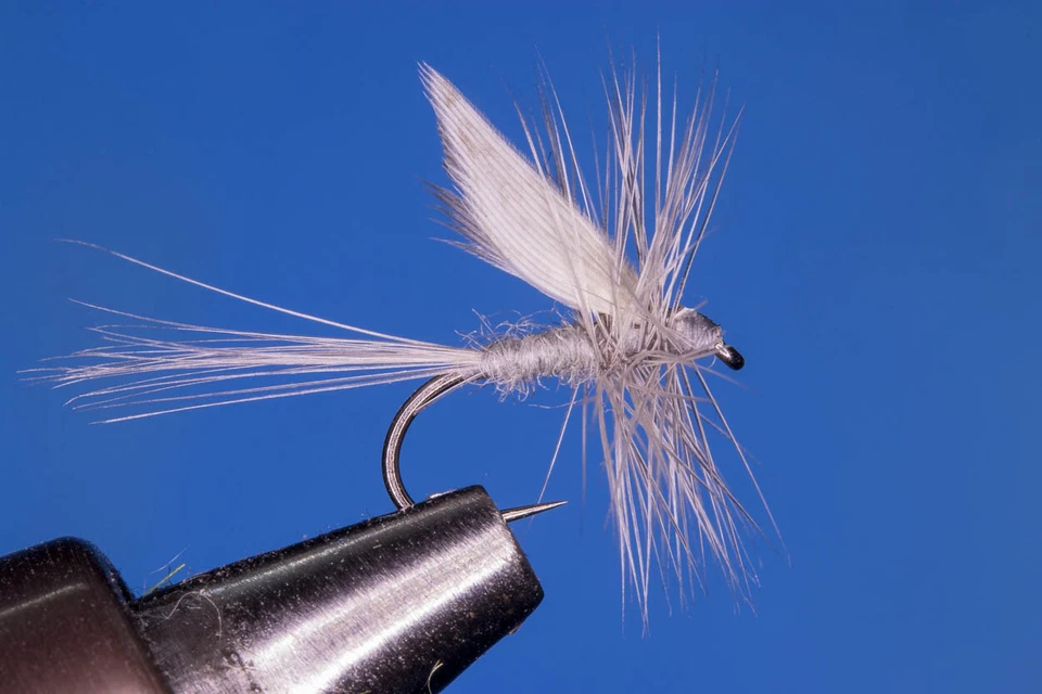 Fliegentom 3 Stück Trockenfliege - Blue Dun - Bild 1 von 1