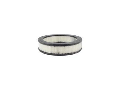 Filtro de aire Baldwin 98154FRWF 1981 1980 1978 1976 para Chevrolet 1975-1982 LUV Foto 1 de 2