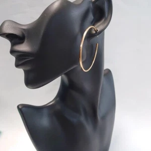 Tiffany & Co. Hoop Large Earrings in 18k 750 Rose Gold - Picture 1 of 10