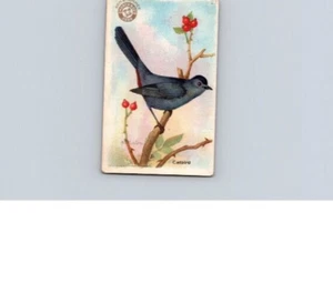 1918 Arm & Hammer Useful Birds America Second Series Catbird No 27 - Picture 1 of 2