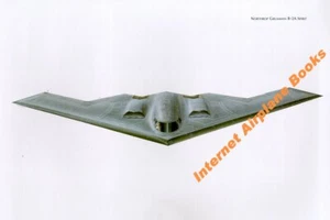 AVIATION ART NORTHRUP GRUMMAN B-2A STEALTH BOMBER USAF 509th BW WHITEMAN AFB - Picture 1 of 1