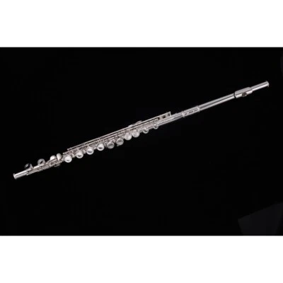 Amadeus FL700 FLAUTO TRAVERSO ARGENTATO IN DO Mi Snodato con ASTUCCIO - Immagine 1 di 3