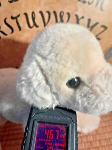 Haunted Highly Active *Curious Curio Co Sweet Dog Spirit In Dreams !* Paranormal
