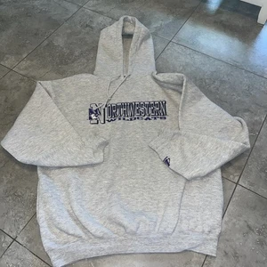 Vintage Northwestern Wildcats Hoodie Mens XL Pullover Sweatshirt Embroidered - Picture 1 of 13