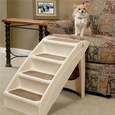 raygar dog ramp