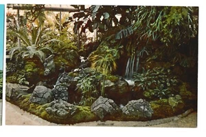 OTTS EXOTIC GREENHOUSE Waterfall Tropical Schwenksville Pennsylvania PA Postcard - Picture 1 of 2