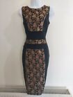 Womens Dress size 8 black gold lace bodycon sexy party occasion formal vgc