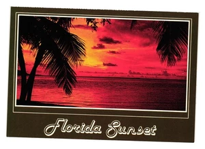 Vintage Florida Sonnenuntergang Postkarte tropische Palmen Urlaub Nachtlicht Strand - Bild 1 von 2
