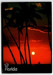 Florida Beach Sunset with Palm Trees Chrome Continental Postcard FL PM 1993 - Picture 1 of 2